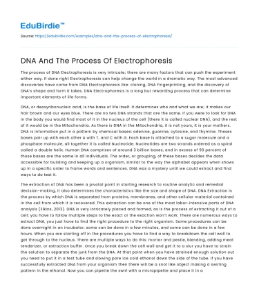DNA And The Process Of Electrophoresis