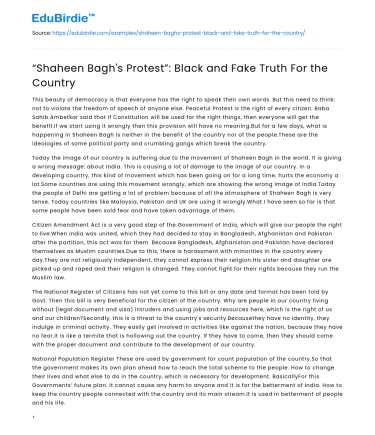 The Impact and Implications of Shaheen Bagh’s Protest