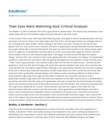 Their Eyes Were Watching God: Critical Analysis