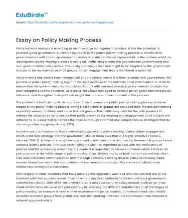 Essay on Policy Making Process