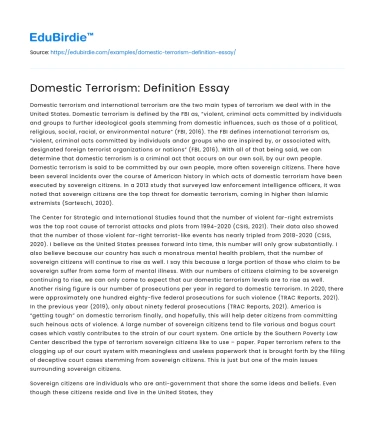 Domestic Terrorism: Definition Essay