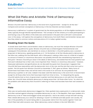 What Did Plato and Aristotle Think of Democracy: Informative Essay