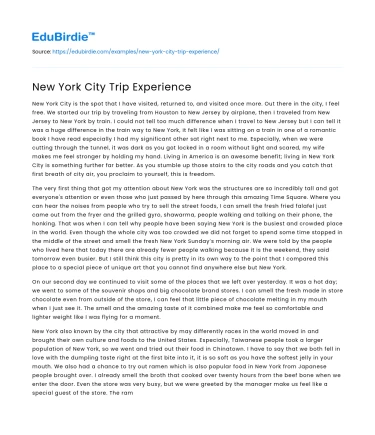 New York City Trip Experience