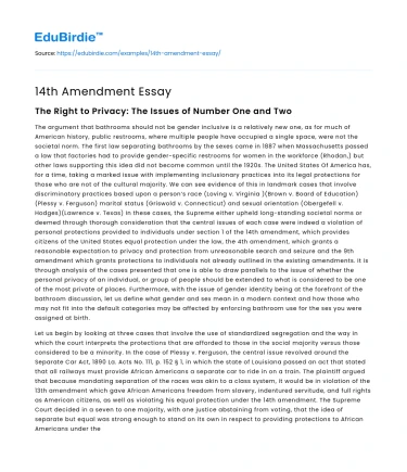 14th Amendment Essay
