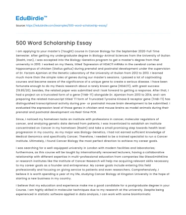 500 Word Scholarship Essay