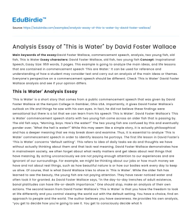 Analysis Essay of “This is Water” by David Foster Wallace