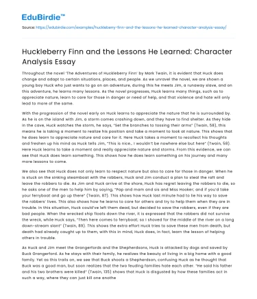 Huckleberry Finn and the Lessons He Learned: Character Analysis Essay