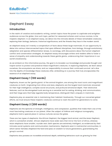 Elephant Essay