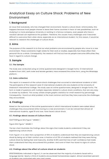 Analytical Essay on Culture Shock: Problems of New Environment