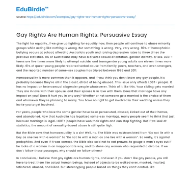 Gay Rights Are Human Rights: Persuasive Essay