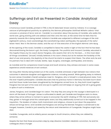 Sufferings and Evil as Presented in Candide: Analytical Essay