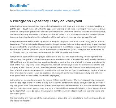 5 Paragraph Expository Essay on Volleyball