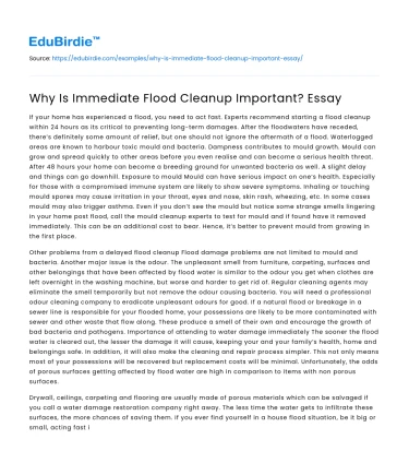 Why Is Immediate Flood Cleanup Important? Essay