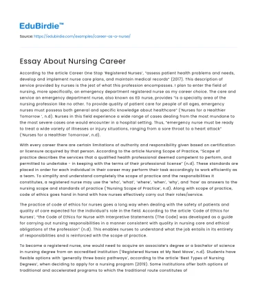 Essay About Nursing Career