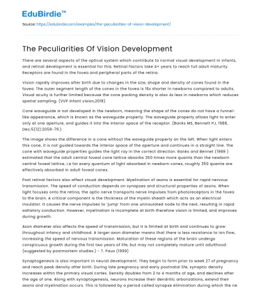 The Peculiarities Of Vision Development