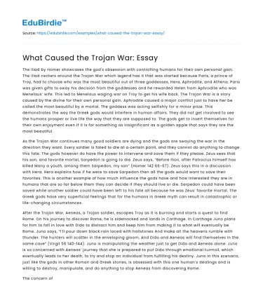 What Caused the Trojan War: Essay