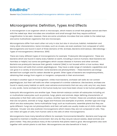 Microorganisms: Definition, Types And Effects