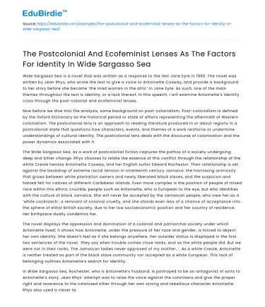 Identity in Wide Sargasso Sea: Postcolonial and Ecofeminist Perspectives