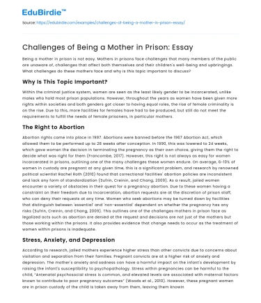 Challenges of Being a Mother in Prison: Essay