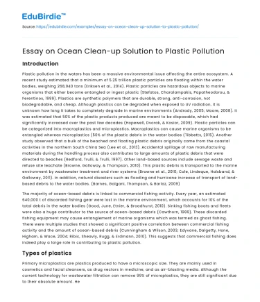 Essay on Ocean Clean-up Solution to Plastic Pollution