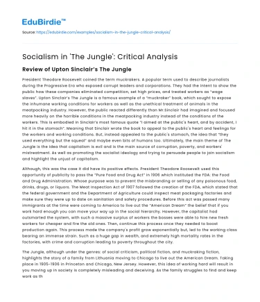 Socialism in ‘The Jungle’: Critical Analysis