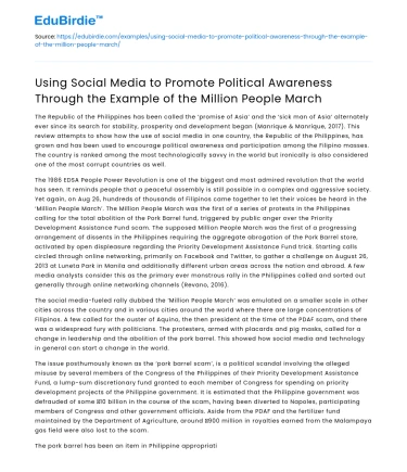 Social Media for Political Awareness: Million People March