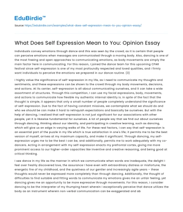 What Does Self Expression Mean to You: Opinion Essay
