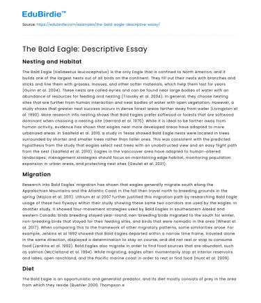 The Bald Eagle: Descriptive Essay