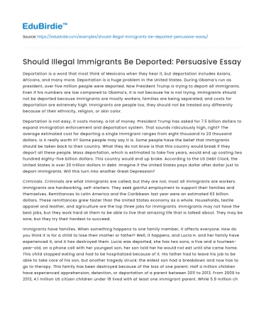 Should Illegal Immigrants Be Deported: Persuasive Essay