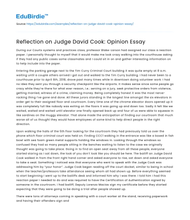 Reflection on Judge David Cook: Opinion Essay
