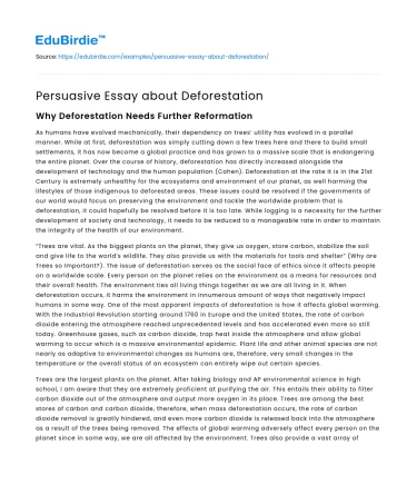 Persuasive Essay about Deforestation