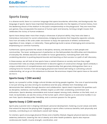 Sports Essay