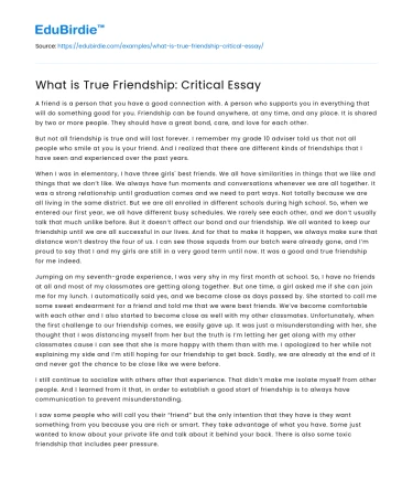 What is True Friendship: Critical Essay