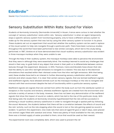 Sensory Substitution Within Rats: Sound For Vision