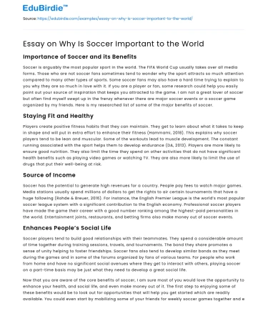 Essay on Why Is Soccer Important to the World