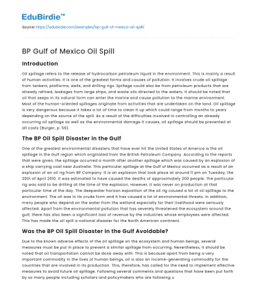 BP Gulf of Mexico Oil Spill