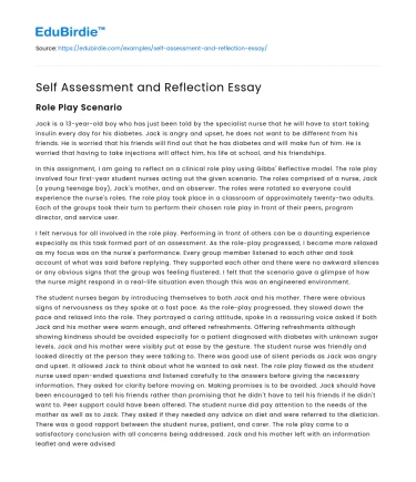 Self Assessment and Reflection Essay