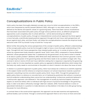 Conceptualizations in Public Policy
