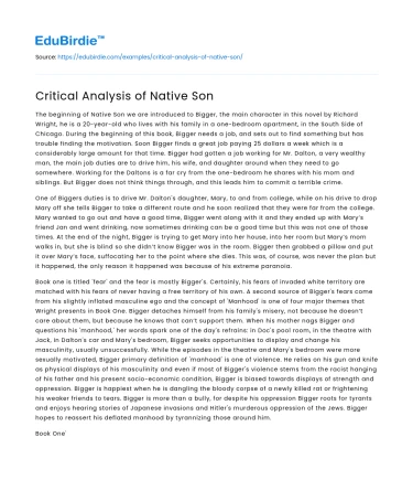 Critical Analysis of Native Son