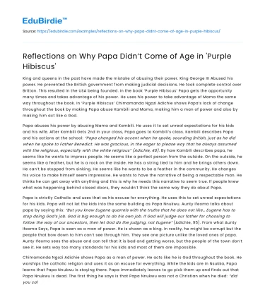 Reflections on Why Papa Didn’t Come of Age in ‘Purple Hibiscus’