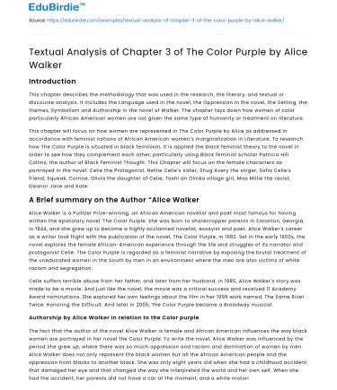 Textual Analysis of Chapter 3 of The Color Purple by Alice Walker