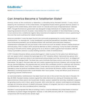 Can America Become a Totalitarian State?
