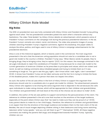 Hillary Clinton Role Model