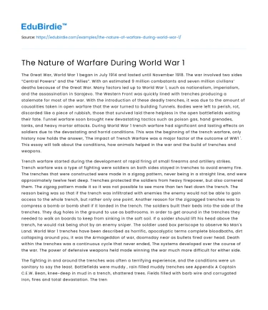 The Nature of Warfare During World War 1