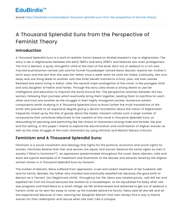 A Thousand Splendid Suns from the Perspective of Feminist Theory