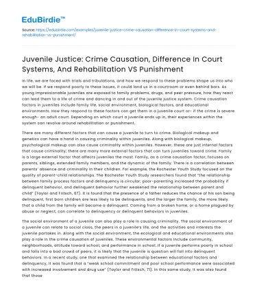 Juvenile Justice: Causation, Court Systems, and Rehab vs Punishment