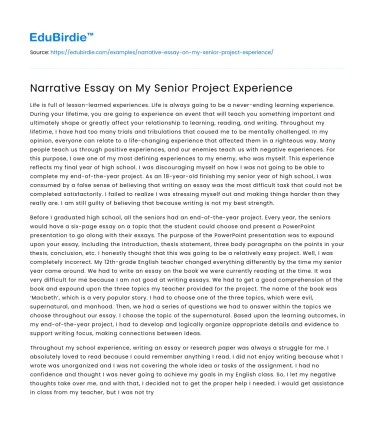 Narrative Essay on My Senior Project Experience