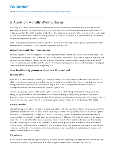 Is Abortion Morally Wrong: Essay