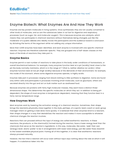 Enzyme Biotech: What Enzymes Are And How They Work