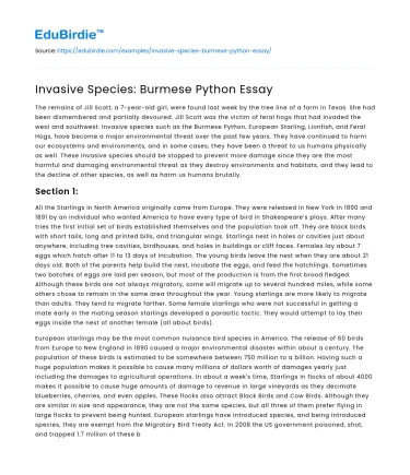 Invasive Species: Burmese Python Essay